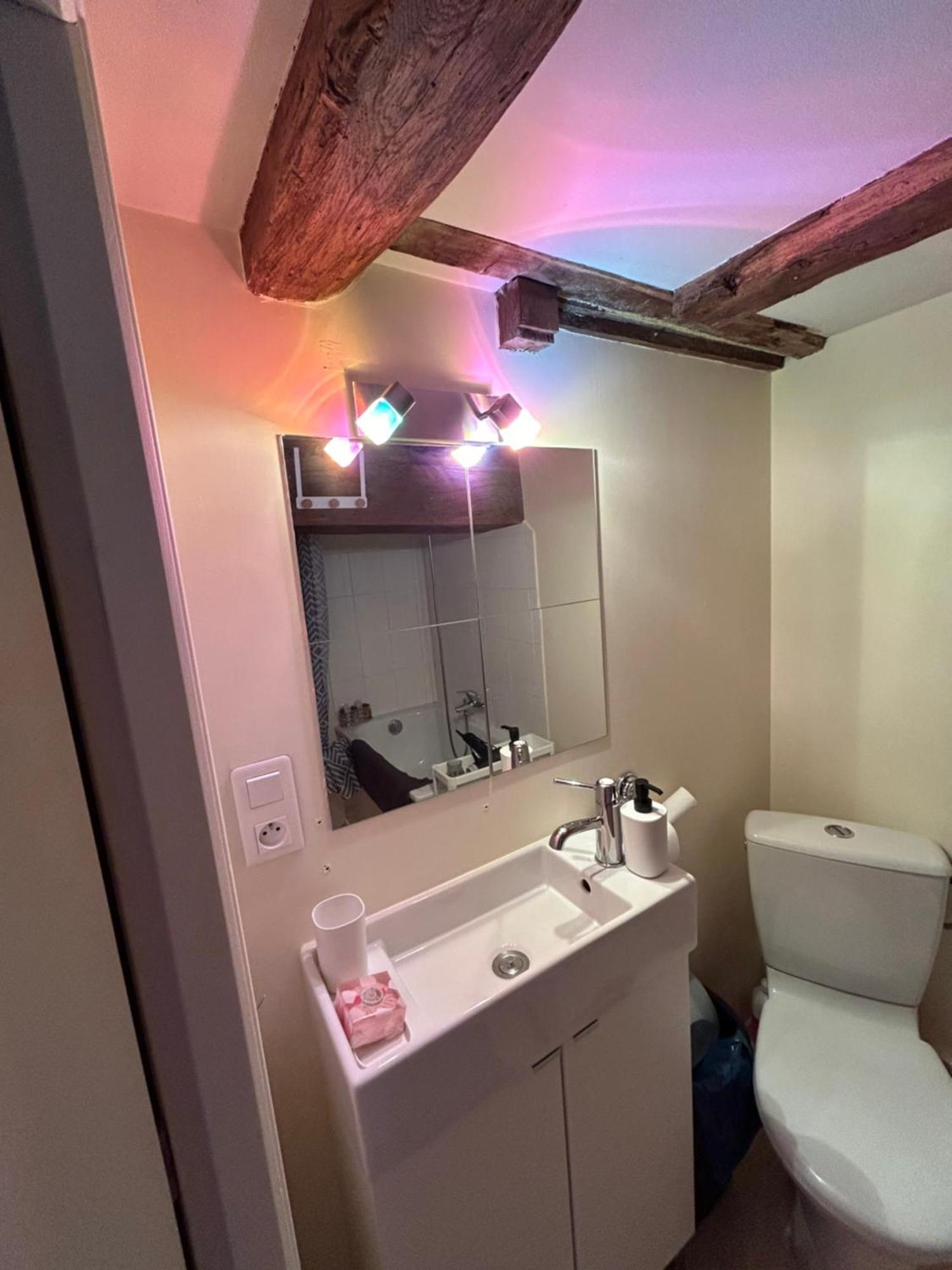 Cosy Jacobins Apartman Langres Kültér fotó